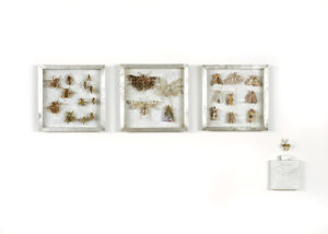 Collectie VI Bijen, vedermotten en grasmotten. Handgebreid Materiaal_ garen, dun ijzerdraad, cellofaan, gouache, zink. Totale opstelling achter een plexiglasplaat van 108-50 cm