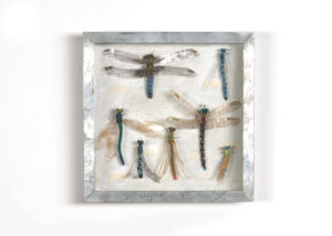 Libellen, Collectie I, handgebreid, in zinken doos van 20-20 cm