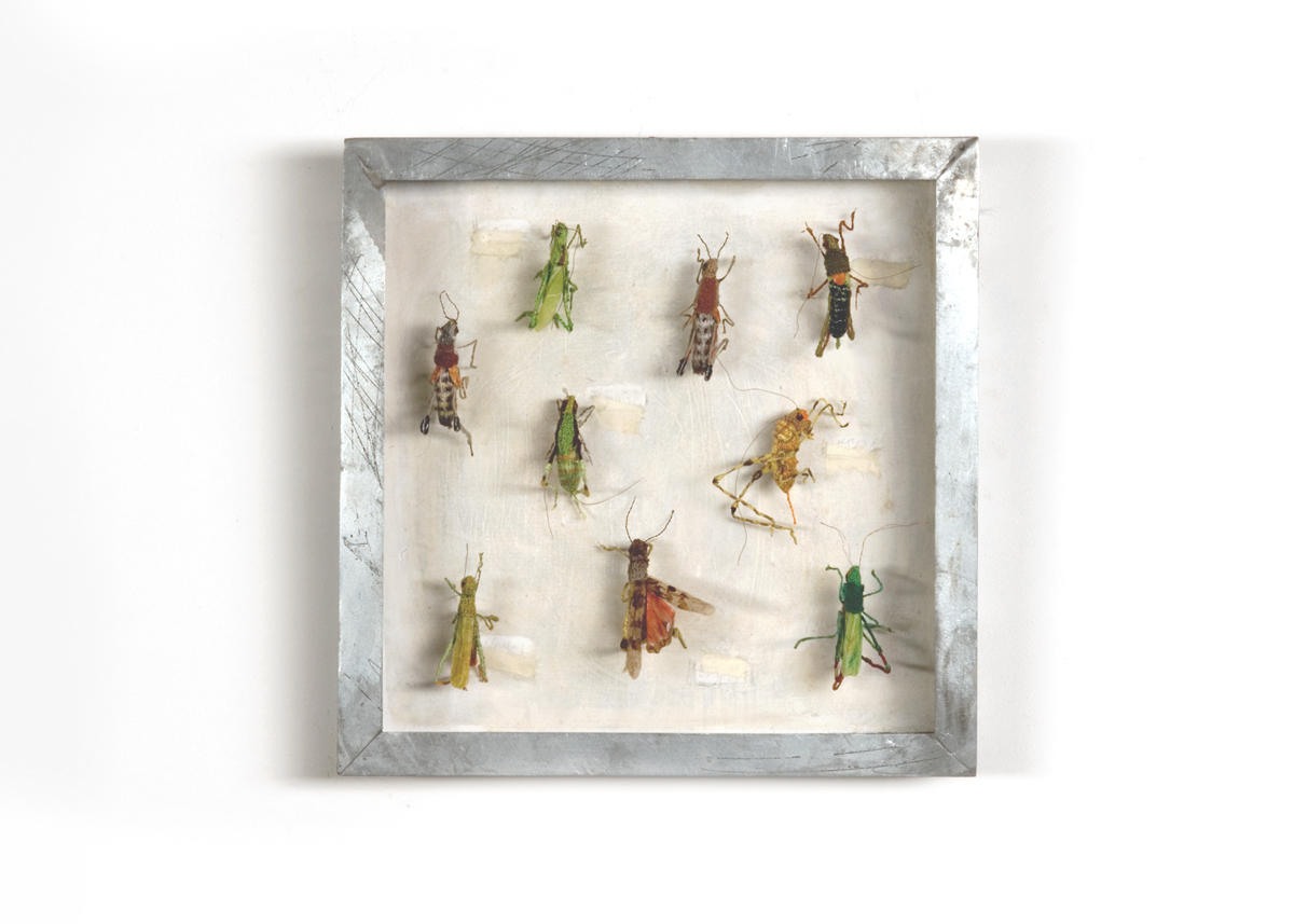 Sprinkhanen Collectie I Handgebreid, in zinken doos van 20-20 cm