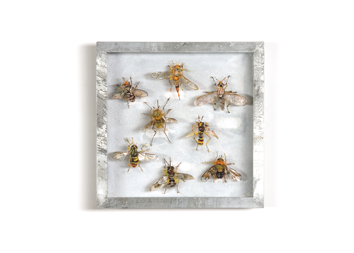 Vliegen, Collectie V Handgebreid, in zinken doos van 20-20 cm