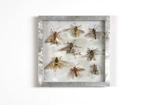 Wespen, Collectie III Handgebreid, in zinken doos van 20-20 cm